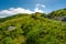 Fluffy cloud rising above the grassy hill