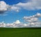 Fluffy clouds rise up over a simply green grass field. Cloud scape background