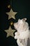 Fluffy Coton Tulear dog with a Christmas robe on the background of stars decorations