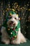 Fluffy cute Coton Tulear dog with a funny Christmas tree hat on the background of bokeh lights