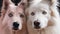 A fluffy, cute puppy playing with its purebred canine family generated by AI