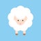 Fluffy cute sheep animal on blue background