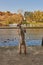 A fluffy dog leans on the parapet and looks at the river on a sunny autumn day.