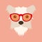 fluffy dog small face in glasses vector illustration