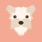 fluffy dog small face vector illustration flat