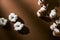 Fluffy dried cotton flowers on brown background