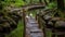 Fluffy Ducks Crossing Wooden Bridge Over Creek