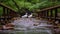 Fluffy Ducks Crossing Wooden Bridge Over Creek