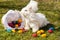 Fluffy easter angora bunny with easter eggs