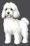 Fluffy English Sheepdog Delight