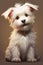 Fluffy Fashion: A Playful Portrait of the White Dog Collar Trend