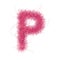 Fluffy font. Pink shaggy letter P. Hight quality hairy glyph. Capital letter. Fine detailed design element on white background.