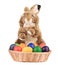 Fluffy foxy rabbit in basket with Easter eggs.