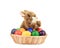 Fluffy foxy rabbit in basket with Easter eggs.
