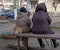 Fluffy Ginger Cat Warmed Up Next to Two Elderly Women Sitting On a Bench