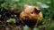 Fluffy guinea pig in green grass, close up portrait, selective focus generated by AI