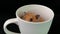 Fluffy hamster in a white cup, on a black background.