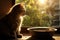 fluffy kitten perches on the windowsill, basking in the rays of the setting sun. In front of it, there\\\'s a bowl of food