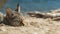 Fluffy kitten resting on sand, staring with blue eyes generated by AI