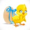 Fluffy little chicken and egg tied with a blue ribbon