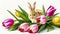 Fluffy little rabbit with pink and yellow fresh tulips. Delicate spring flowers on white background. Watercolor drawing