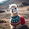 A fluffy llama wearing a knitted Christmas sweater with a snowflake pattern1