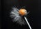 Fluffy lollipop. Caramel in white woolly wool on a black background. dirty candy