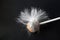 Fluffy lollipop. Caramel in white woolly wool on a black background. dirty candy