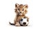 Fluffy lynx cub sitting with a soccer ball on a white background. Cartoon little character for children\\\'s competition