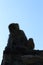 Fluffy macaque monkey silhouette on stone fence against clear blue sky.