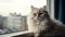 Fluffy Persian cat staring out window, beauty in nature softness generated by AI