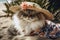 Fluffy Persian Cat Wearing Flowery Beach Hat And Beach Dress, Lounging On Beach Towel. Generative AI