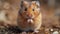 fluffy pet eating, cute hamster happily snacking on a sunflower seed in its cage, the fluffy pet looks adorable while