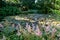 Fluffy pink astilbe flowers around the lake at the Leckford Estate, Longstock, Hampshire UK