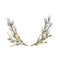 Fluffy pussy willow branches oval wreath floral spring composition, young twigs of trees, watercolor illustration for