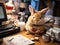 Fluffy rabbit at desk browsing tiny device