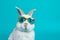 Fluffy rabbit sunglasses. Generate Ai