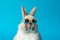 Fluffy rabbit sunglasses portrait. Generate Ai