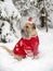 A fluffy red dog in a New Year's red suit poses in a snow-covered forest.