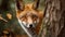 Fluffy red fox in autumn forest tranquility generated by AI