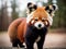 Fluffy Red Panda (Ailurus fulgens). Generative Ai