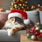 fluffy relaxed cat lying on a gray sofa in a Santa\\\'s hat