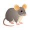Fluffy rodent icon, cute mouse illustration isolated