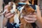 Fluffy rodents guinea pigs funny pets in the hands of a child