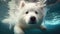 Fluffy samoyed dog swimming underwater. Ai generative illustration.