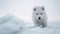 Fluffy Samoyed puppy running in snow, joyful and playful generated