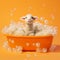 Fluffy Sheep In Bubble Bath On Orange Background