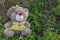 Fluffy soft gray toy bear in knitted yellow blouse with bow on head, left by child on street, lying on lawn among green bushes