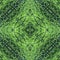 Fluffy thuja green needles background, backdrop for scrapbook, top view. seamless pattern kaleidoscope montage