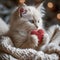 A fluffy Valentine's Day gift. Cute fluffy white kitten playing With Red Heart Valentine's card on white
